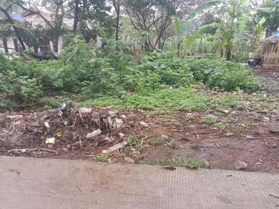 JUAL BUTUH TANAH 200 M BUAT RUMAH DI KEC GUNUNG SINDUR