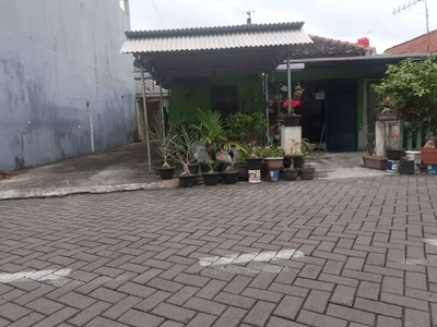 Pusponjolo Rumah Apa Adanya Lokasi Tengah Kota Semarang Area Legendari
