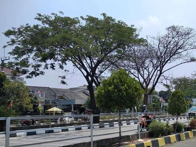 Tanah Boulevard GDC Cilodong Depok Murah Dekat Alun-alun Kota Depok