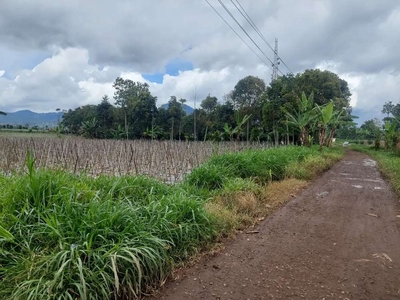 Tanah kebun pinggir jalan cigelang pamulihan sumedang