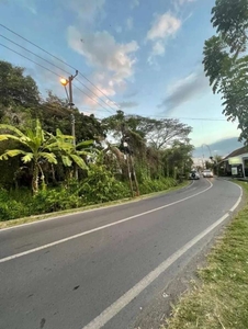 Tanah raya padang linjong canggu