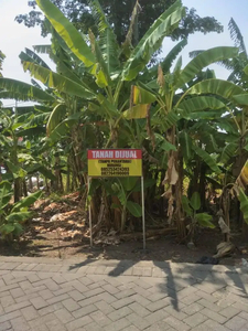 Dijual lahan tebu