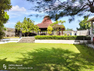 Dijual Murah Rumah Mewah Full Joglo Klasik Halaman luas di Yogyakarta