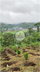 Dijual Tanah di Pasir Jambu Ciwidey Cocok Untuk Untuk Vila atau Kebun