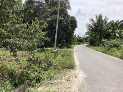 Dijual Tanah Kebun Sawit Di Muara Fajar Rumbai