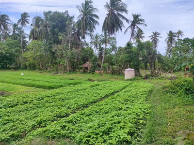 Dijual tanah Lambiheu siem, Tungkob Aceh besar