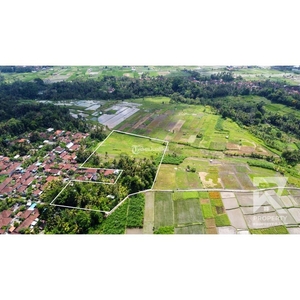 Disewakan Tanah Luas 10000m2 dengan Pemandangan Sawah di Abiansemal Dekat Ubud Bali - Badung