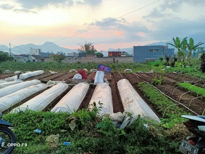 Lahan Potensial Cocok Untuk Investasi Masa Depan Lokasi Pujon Malang