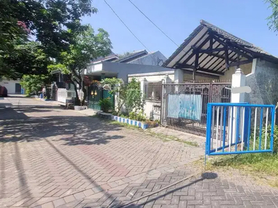 Rumah Murah Hitung Tanah Pojok Tropodo Sidoarjo