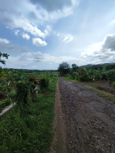 Sawah Dijual di Girimulyo