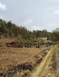 Tanah darat 1 Ha lokasi bojong nagreg Alses masuk truk