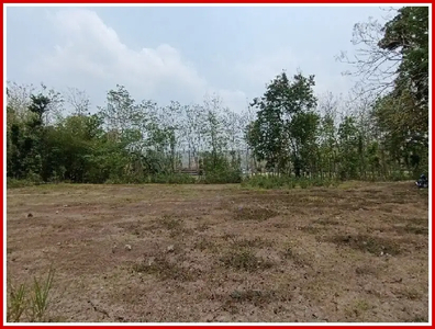 Tanah Dijual Jogja Dekat Sate Pak pong di Bawuran Bantul