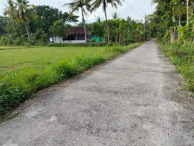 Tanah Murah dekat Kawasan Industri sentolo