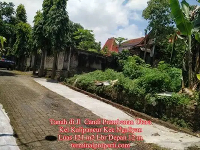 Tanah Murah di Jl Candi Prambanan Utara Kalipancur Kec Ngaliyan
