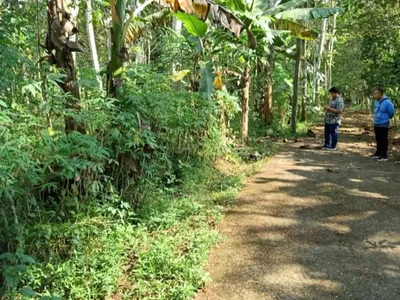 TANAH MURAH di TUNTANG