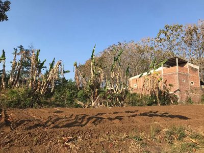 Tanah Murah Kota Malang Cocok Bangun Hunian Dekat Taman Merjosari