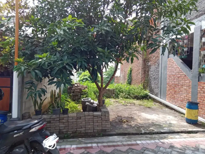 Tanah Strategis Jalan Rorojonggrang SLT 1 Semarang Barat 5,5×16