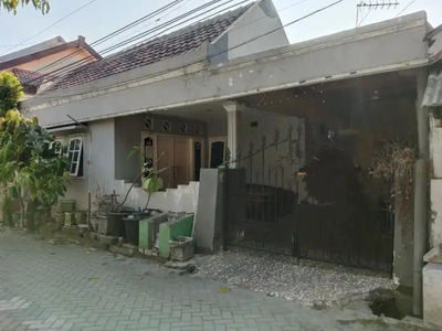 ‼️JUAL CEPAT‼️RUMAH REWWIN DIBAWAH PASARAN