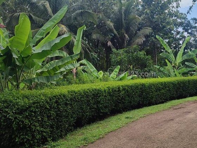 Kebun Jati