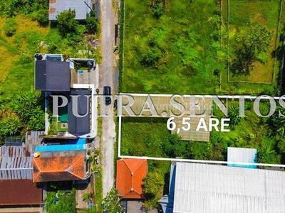 Land For Rent Tumbak Bayuh Cepaka