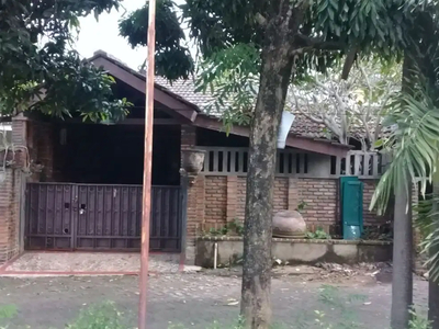 Rumah Minimalis Siap Huni di Perum Bukit Nusa Indah Siap KPR J-14974