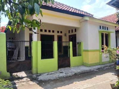 Rumah Kampung Siap Huni Dan Strategis