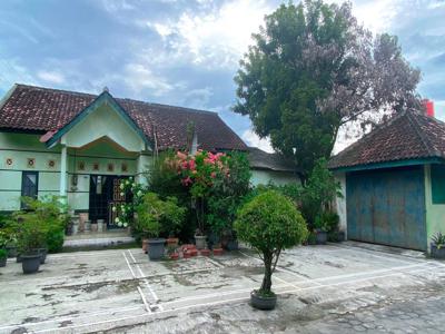 Rumah 3 Kamar Halaman Luas Di Jl Jambu Gamping Sleman