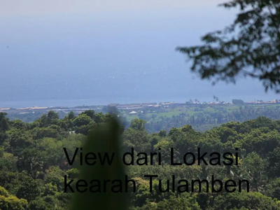 Di Jual Cepat Tanah Di Desa Bulian, Bali