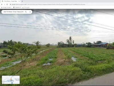 Dijual Murah Tanah Dusun III Hilir Desa Paya Bakung Lingkungan XI