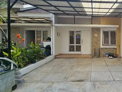 Disewakan rumah baru renov di Paradise Serpong City