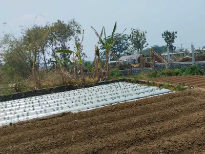 Luas 240 m2 Tanah Graha Dewata Malang Cocok untuk Rumah Kos, SHM