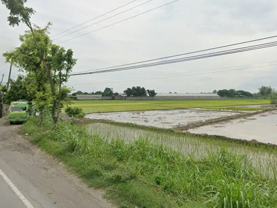 Raya Ploso Nol Jalan Provinsi - Jombang