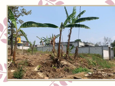 Siap Bangun, Tanah Lingkungan Perumahan Merjosari Malang Cocok Hunian