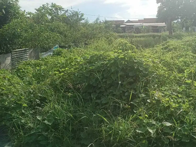 Tanah Kavling Sedati Dekat Bandara Juanda Sidoarjo