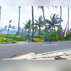 tanah luas ngemplak jalan besar cocok gudang atau perumahan