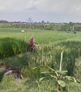 Tanah view sawah jalan lebar 10 menit ke Pantai Kelecung Bali