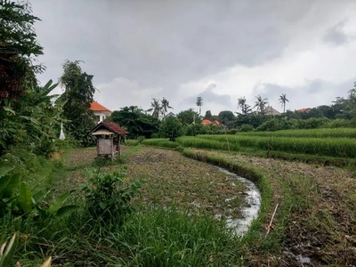 Tanah View Sawah Tegal Cupek Kerobokan Badung Bali