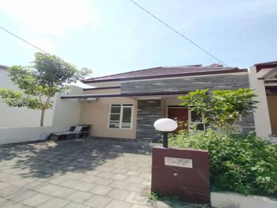 Cluster Wallace Bukit Elang Residence Fasum Kolam Renang di Tembalang