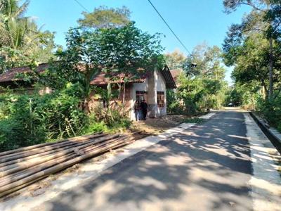 Dekat Kampus UNY Wates, Tanah Jogja Kulon Progo