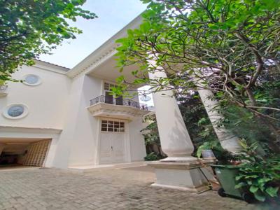 Disewakan Luxury House Kemang Jakarta Selatan