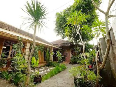 Homestay Klasik Jogja Kota Kraton Dalam Benteng Yogyakarta