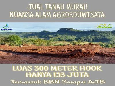 Jual Tanah Murah 300 M Cuma 153 Juta Hook Siap Bangun Villa di Bogor