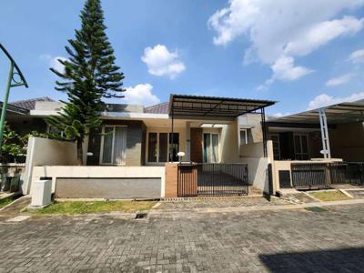 Rumah 1 lt disewakan