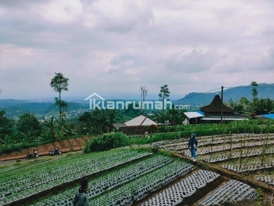 Harap melakukan login, sebelum menggunakan fitur kirim pesan