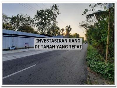 Investasi Tanah Sentolo Kulon Progo, Yogyakarta