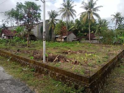 Tanah 1000 M2 dekat bandara kulon progo