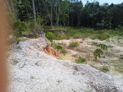 Tanah Desa Muara Bunyut Barong Tongkok Kutai Batar Kalimantan Timur