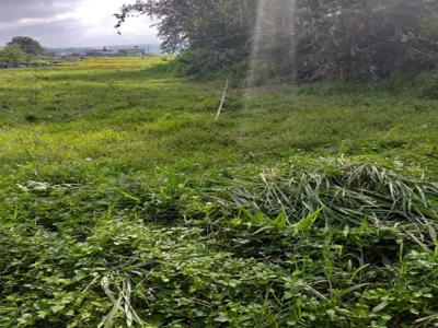 Tanah di jual cepat BU wilayah IV angkat canduang Balai Gurah