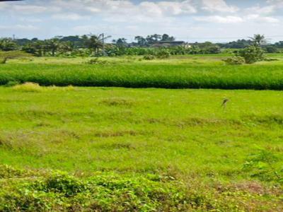 tanah di pantai kedungu, tanah villa, tanah view sawah