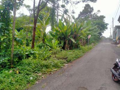 Tanah Dijual Area Wonoplumbon Mijen Semarang Dekat Perumahan Siranda